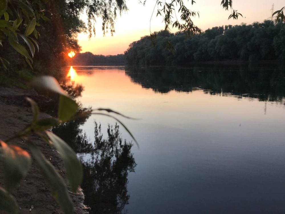 ���������� ���������� ������� ������