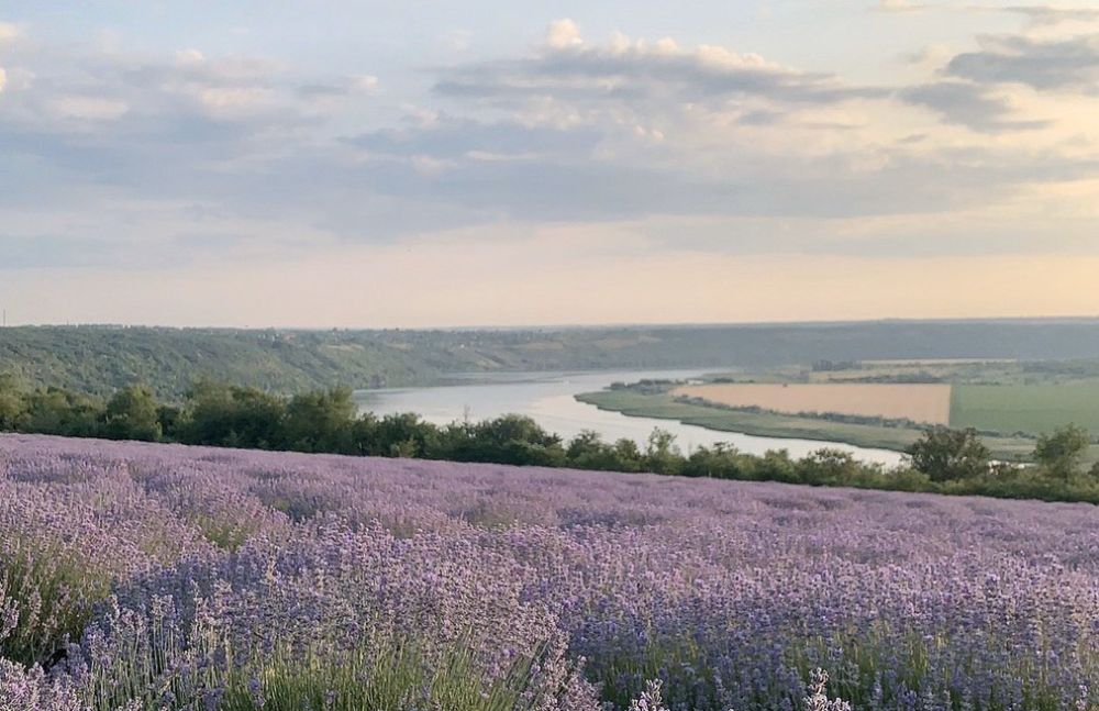 ������� ������. �������, 14 ����, ��������� ���������� ���������� ��� �������