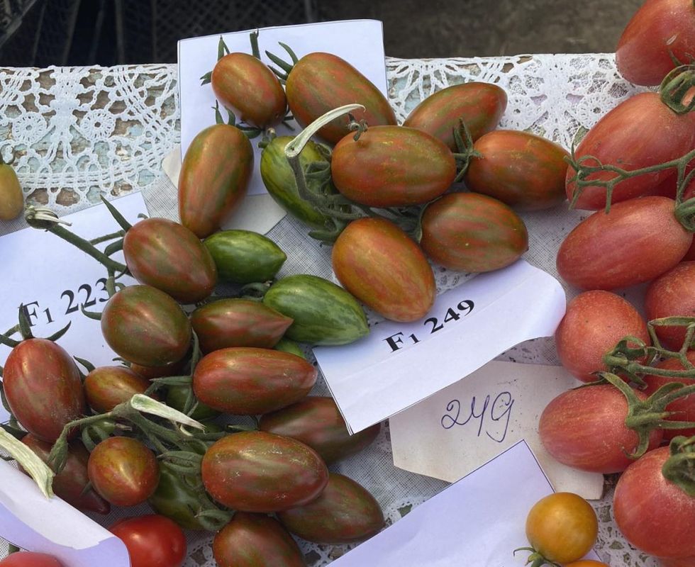 ������ �������� - ���������� ������, �� ����, ���������.