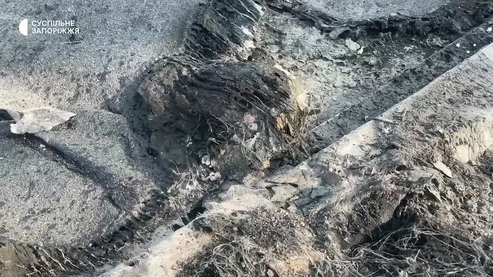 �� �� ������� �������� ���� ���������� �� ������ ��� � ���������