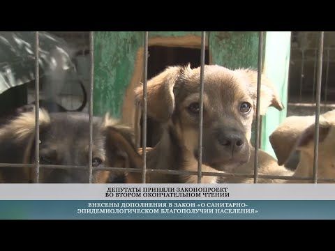 �������� ��������� � ������ ����������, ��� � ��� ������ ����������� ��������������� ����� ��� ���������� ��������� ��������. ������ �� ��� �������� �������� � ������� ����� ����