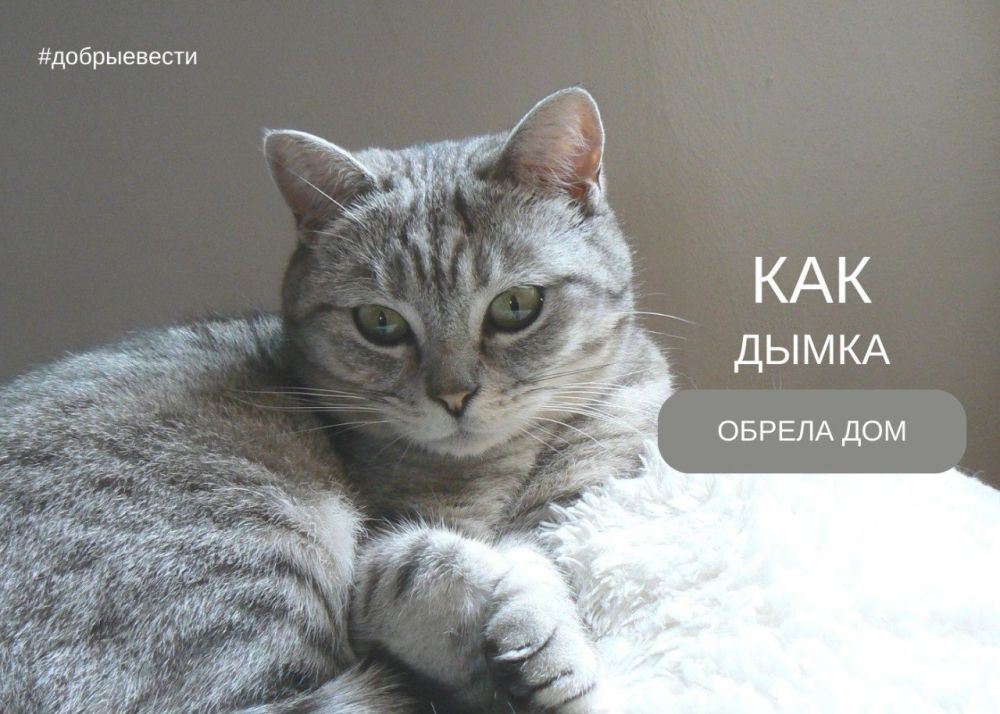 �������� �� �������� �����