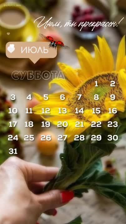 ������ ����!