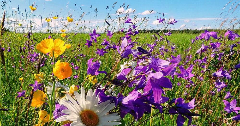 � ��� ������� �� ���� ���� �������� ���� ������� �������� � ������������� ���� ����������� ���������