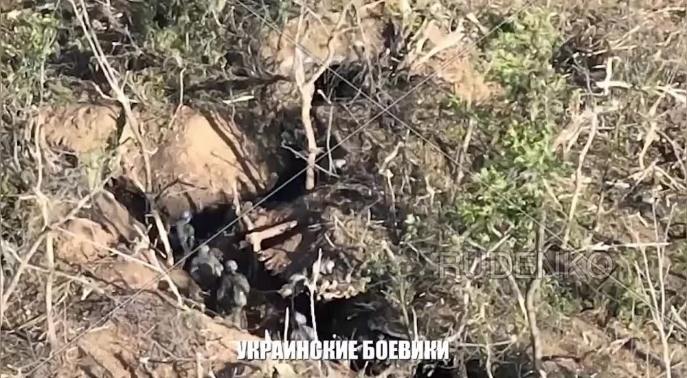 ����������� �����������. �� ����� - ����������� ���������� �����������������