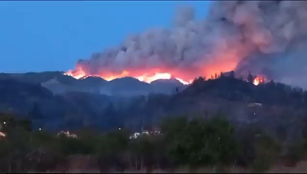 ������� ������ � ������ ������ �����