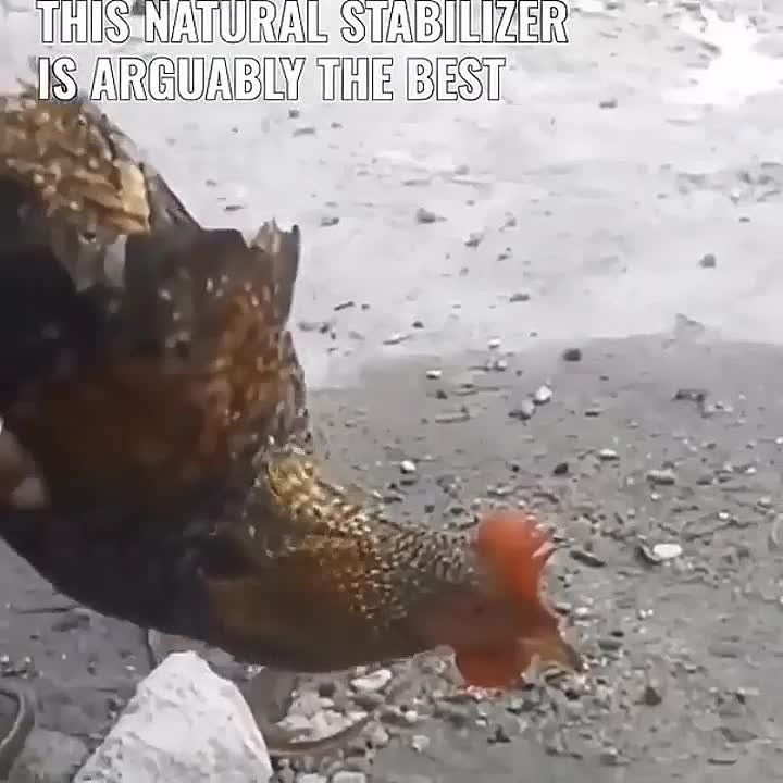 ����� �������� ������� ������������ ��� ������, ����� ����� ������ ����� ������?