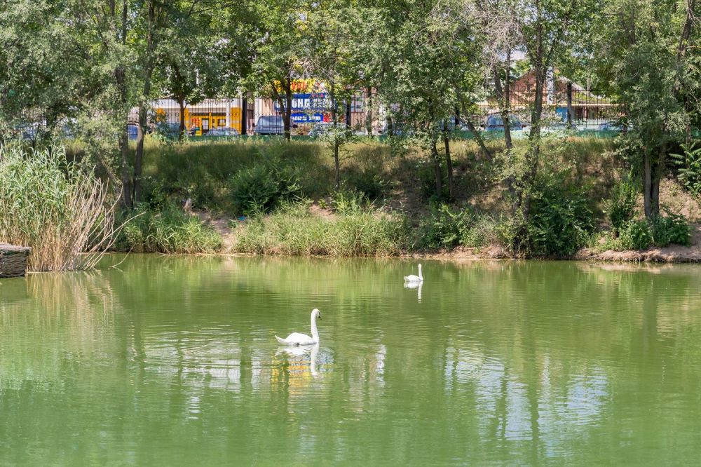 ������� ������ ����, ��� �� ����������, ����� ����� �������� �����