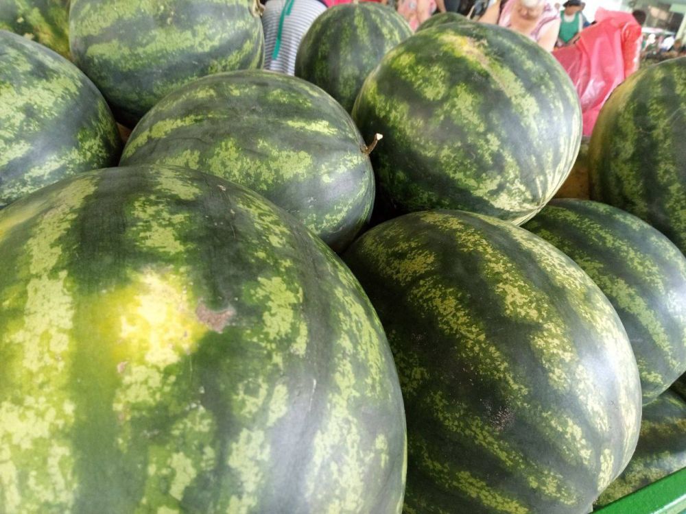 �������� � �������������. ������ �� ������� ��� �� �����. ���� �� �� - 10 ������