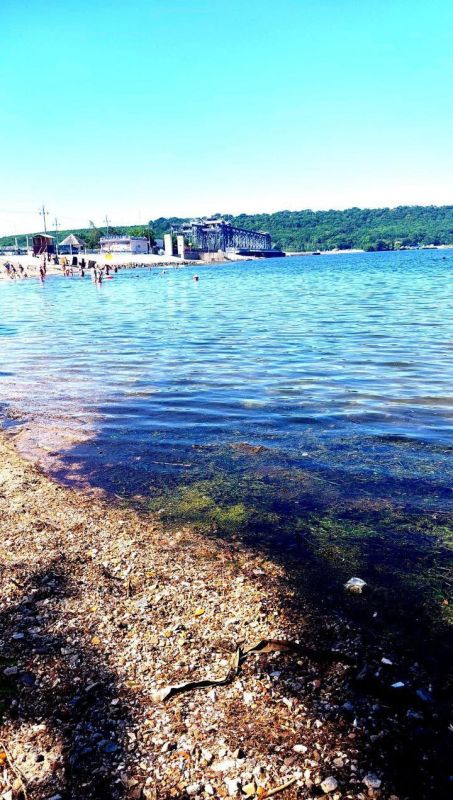 �����������, ����, ���������, ����