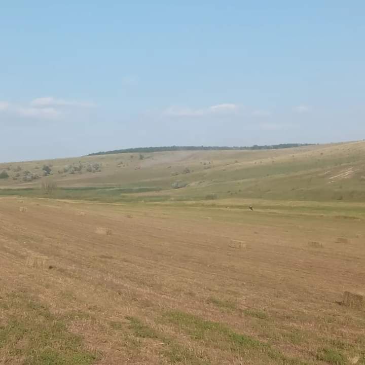 �� ��������. ����������� ���� ������.. ���� ������� ����������