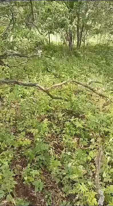 � �������� ������� ���� ������� ��������� ���������