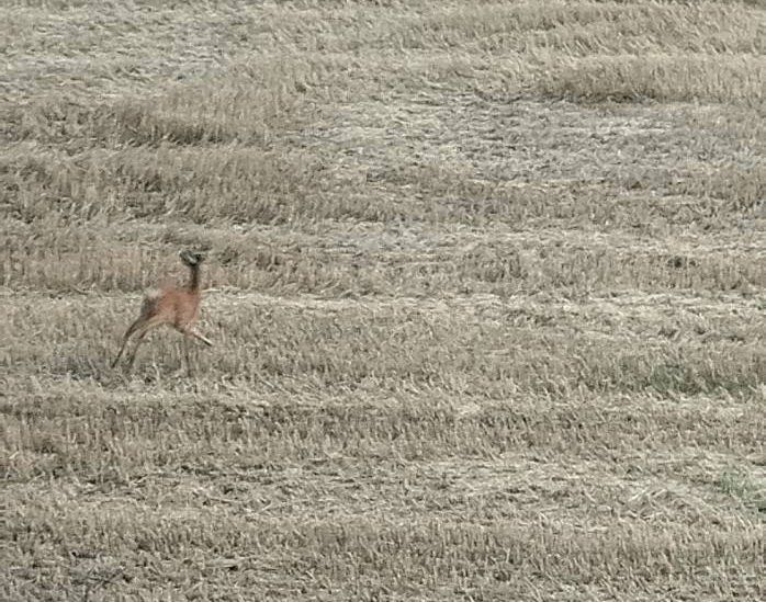 ��� ����� ������ ������ ������� ����� �� �����