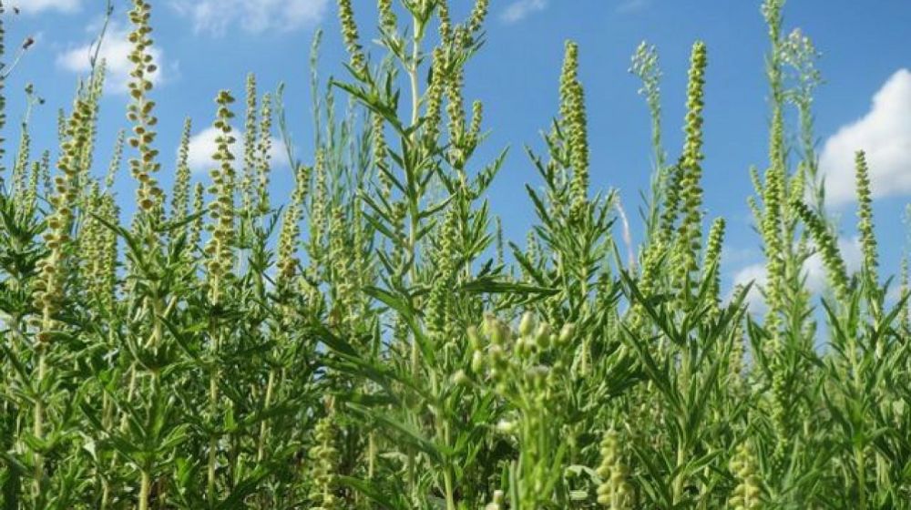 � 15 ��� �� 14 ���� � ���������� ��������� 834 ������������ �� ������ ����������������� � ���������������� ���������� ����� �� ��������� �������� ��������������