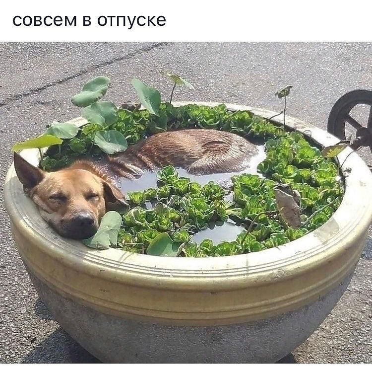 �������, �� ��������� ����������, ��������� +36��