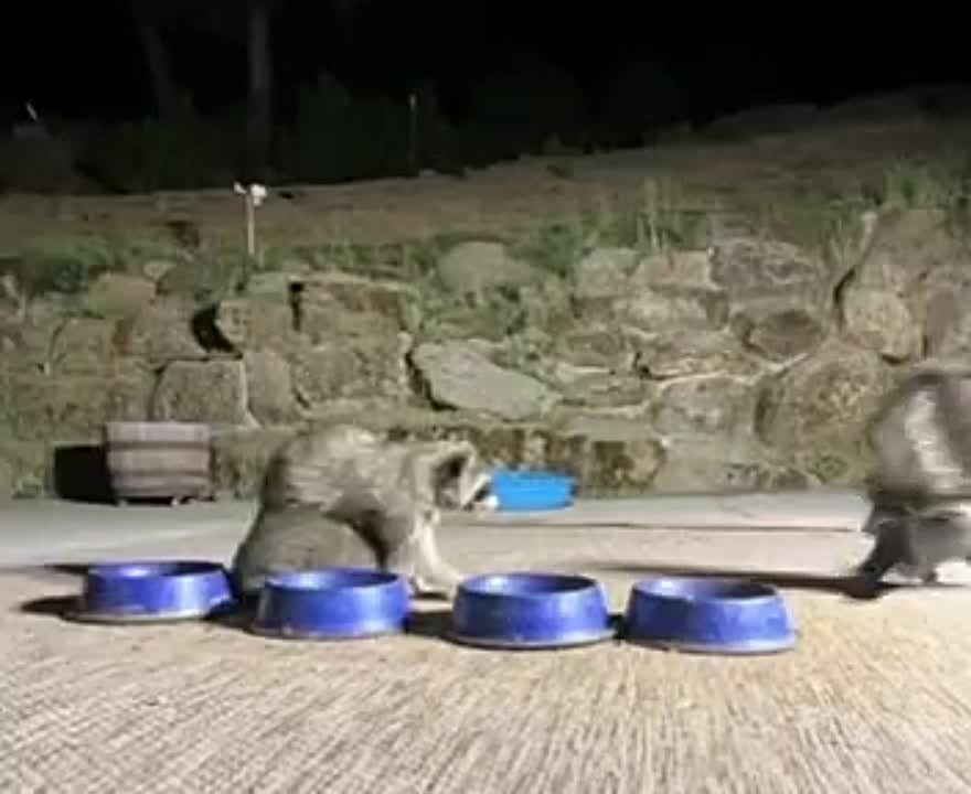 ����� �������, ��� ���� ������� �� ��� ������� � ���� ����