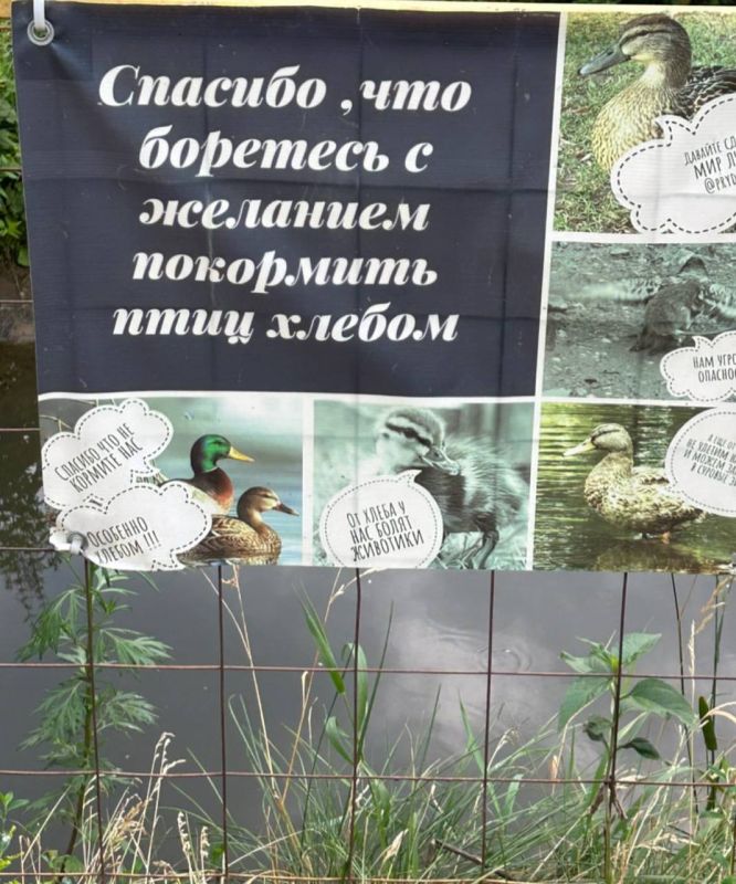 ���������� ������. ��������, ��� �������� � �������� ��������� ��� ������. �� ����� � ��� ����� ��������