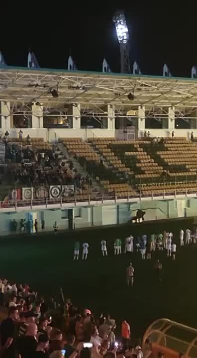 ��������� ������ ������� � ����� �����������, ������������� �� � ���������� �� ��� ����������� ����