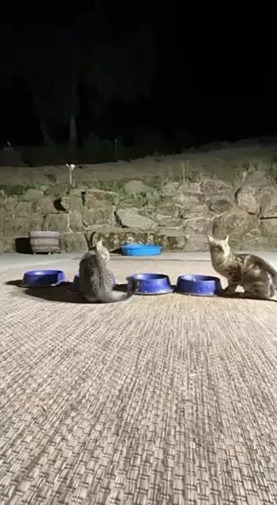 ������� �������� ������ ����� ������ ��� ����, ����� ����������, ��� ��� ����