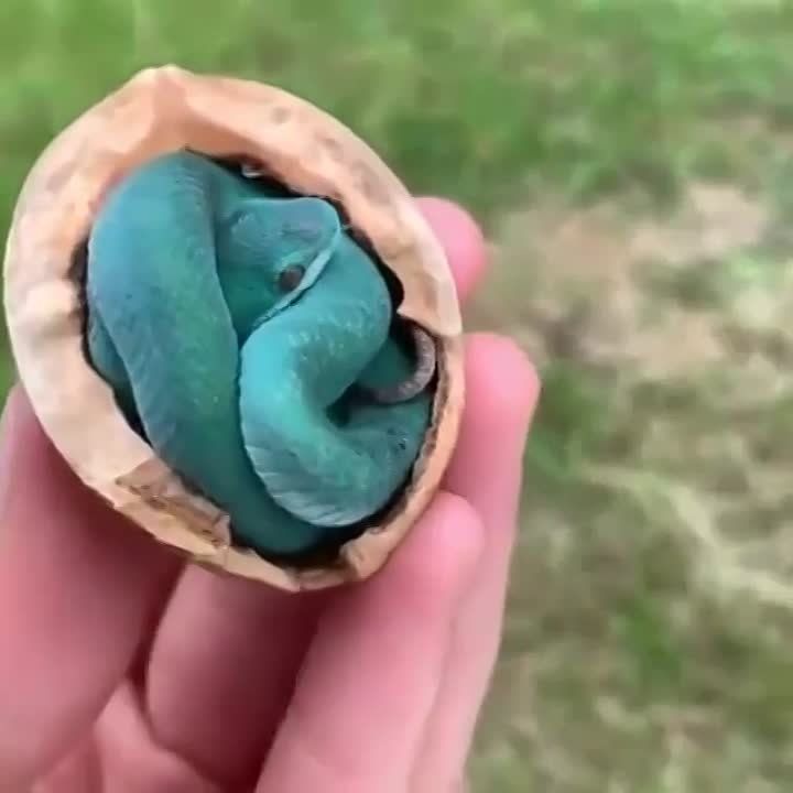 ������� ���� � ���������