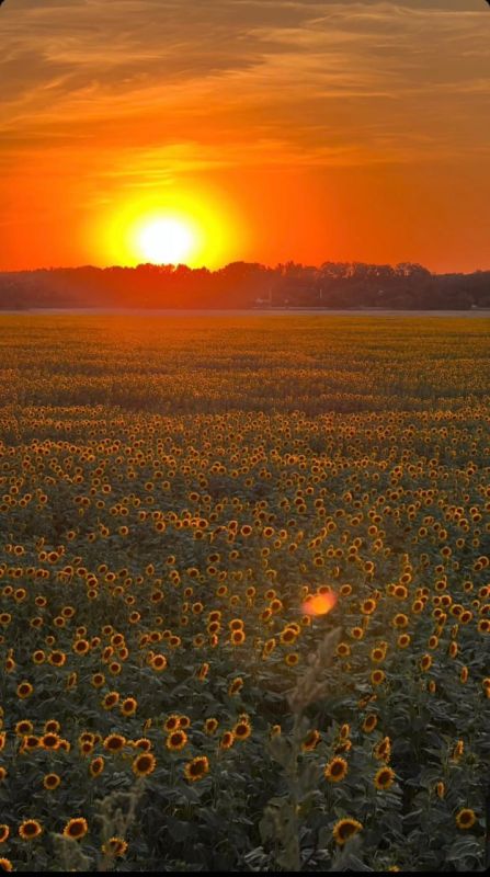 ���� � ������������ �� ����� � �������, �������� �� ������ ���������