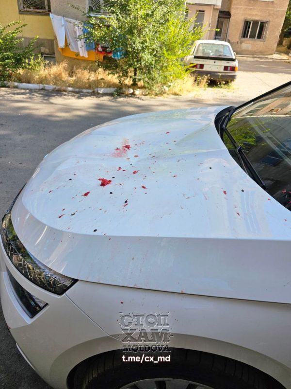 � �������� �� �������������� ���������� �������� �����