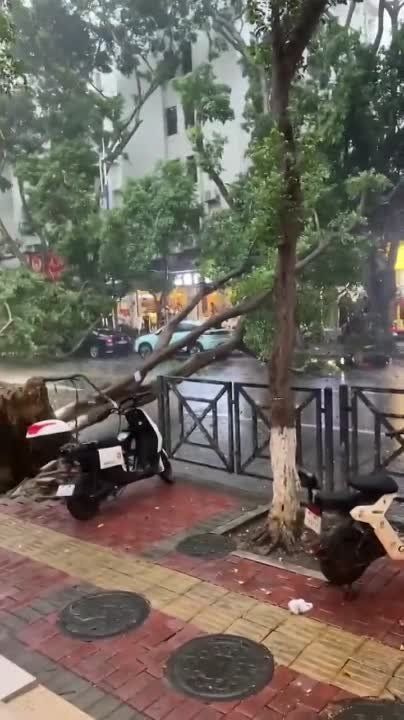 �� ����� ��������� ��������� ������