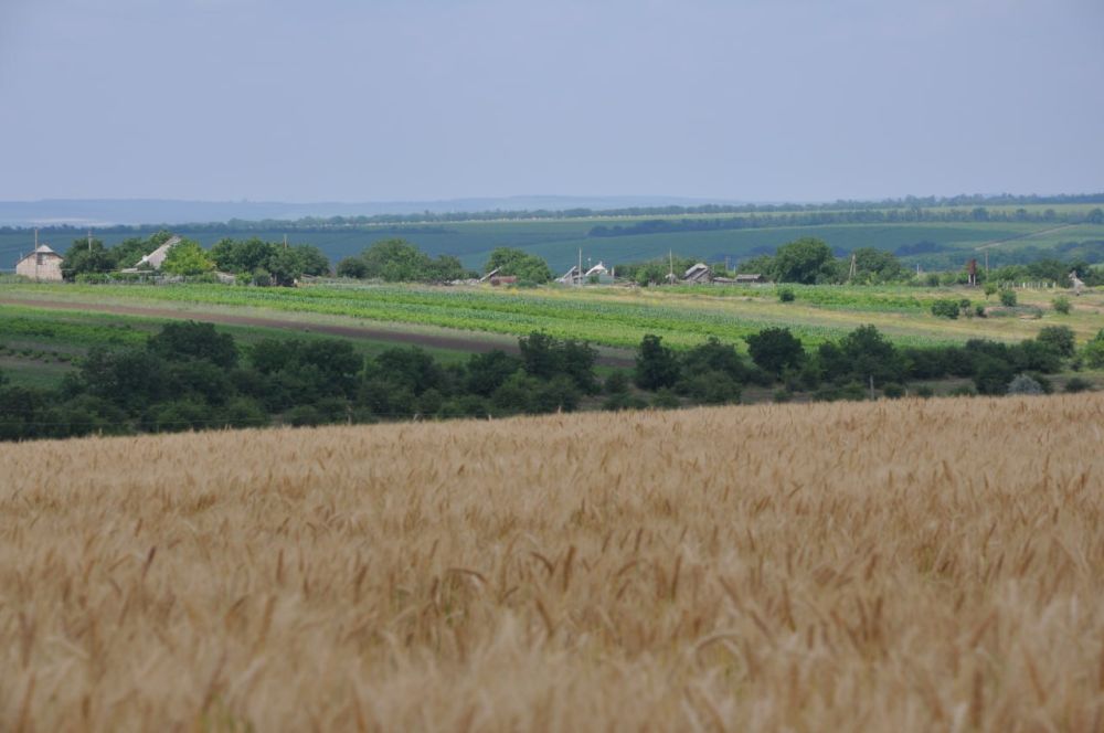 ����������������� ����������� � �������������� ���. ������� � ����������������� ��� ���������� ��������� ���������������� ��������