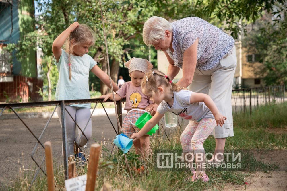 ��������� ���������� ������������ ������� ������� � ����� ������ �����