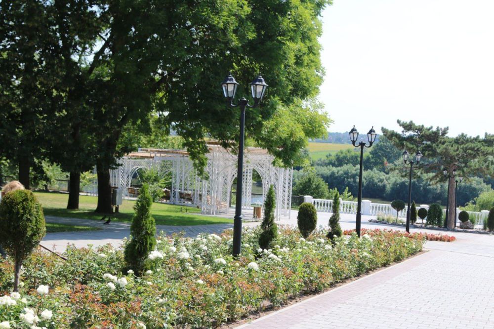 "�������� ������ ������ �� ������� ����� �����