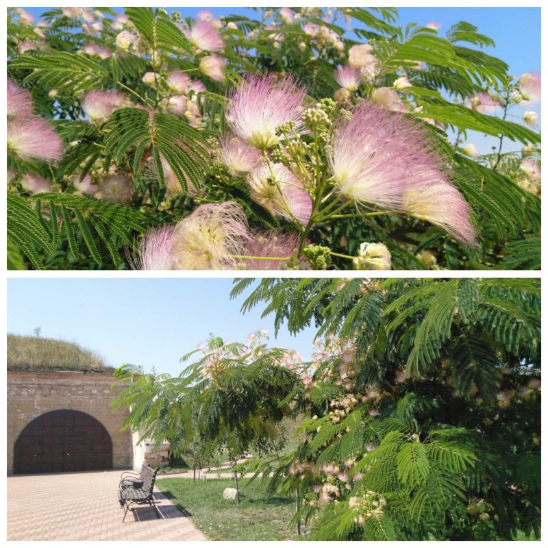 �� ������ � ��������. ��� ����� ������� ������ ������ � ���������� ����������-������� �����