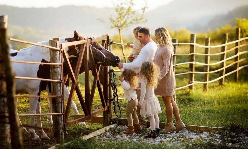 � 15 ���� ��������� ������� ������� ������ ��������� ������� (�����������)�