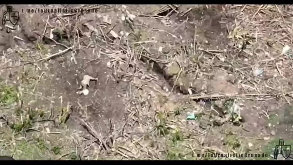 ����������� ����� ���������� �������� �� ������� � ������������ ������-��������� ��� ��������