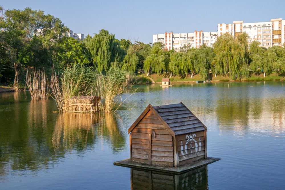 ����� �������� �� ����������� � �����