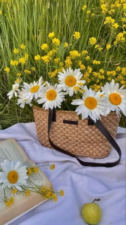 ������ ����!