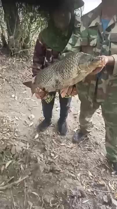 ��������� �� ������������� �� ����� ������� ������� � ������� �������� ������