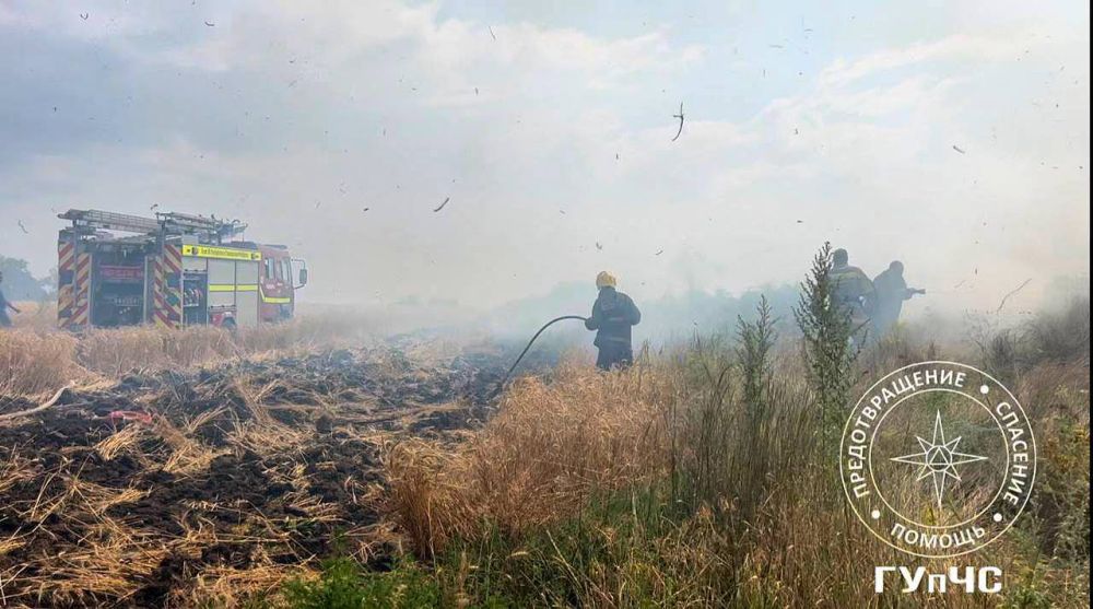 �� ����� ������� �������� ����� 8 �������� �������, �������� �����-����� ���