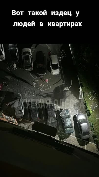 ������ ����� ��� � ������ ������ �������� �������� � ���� �� ������ ����������� ���������� ������ �� ����� �� ������� � ��������� ���� ����