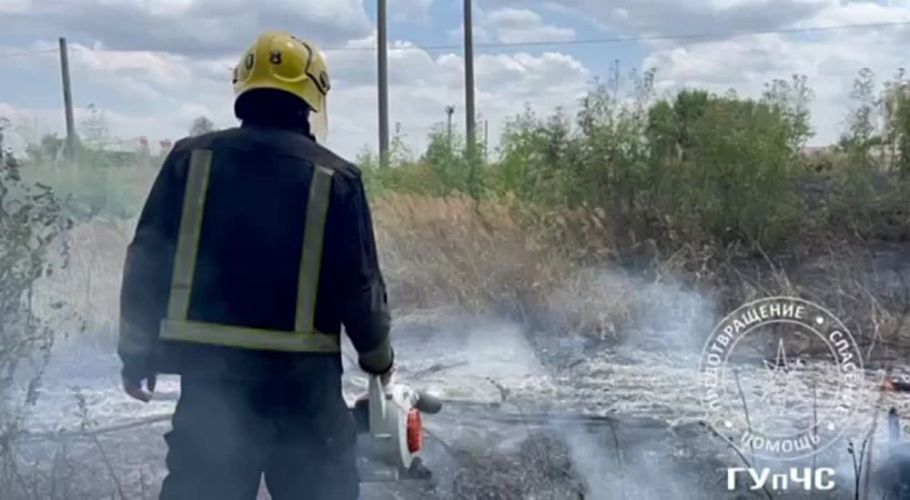 � ��������� �������� ��� ����� ����� �����, ����� ���. �������� �����