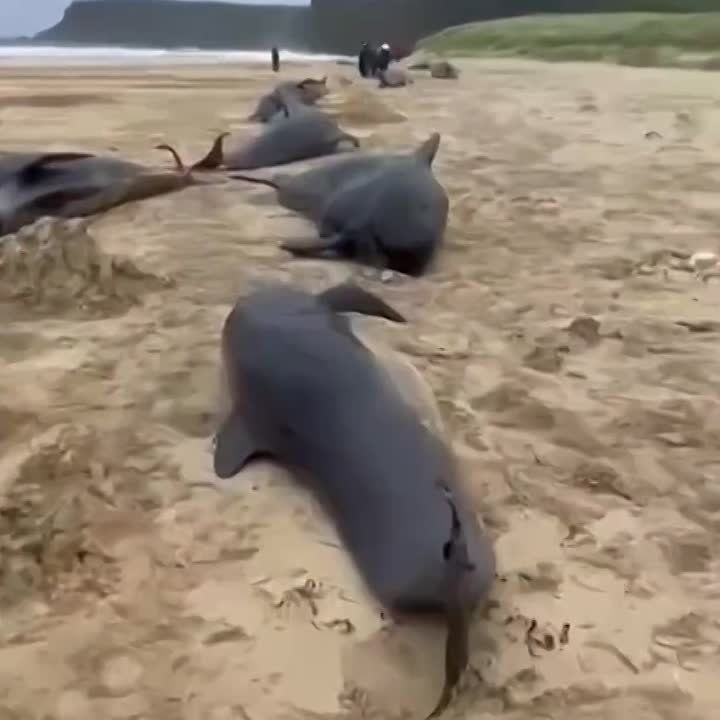 ������� ����� ����������� �� ����� ���������