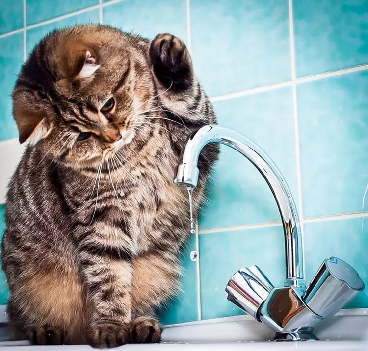 � 24 ���� ����� ������ ��������� ��� ������� ����