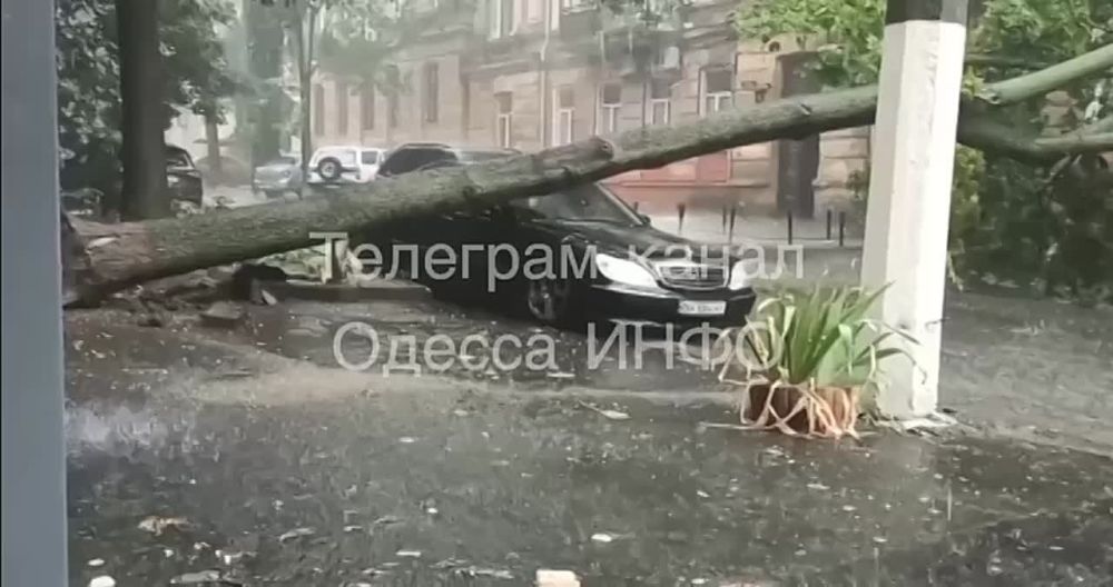 ������ ������ ������ ������ � ������