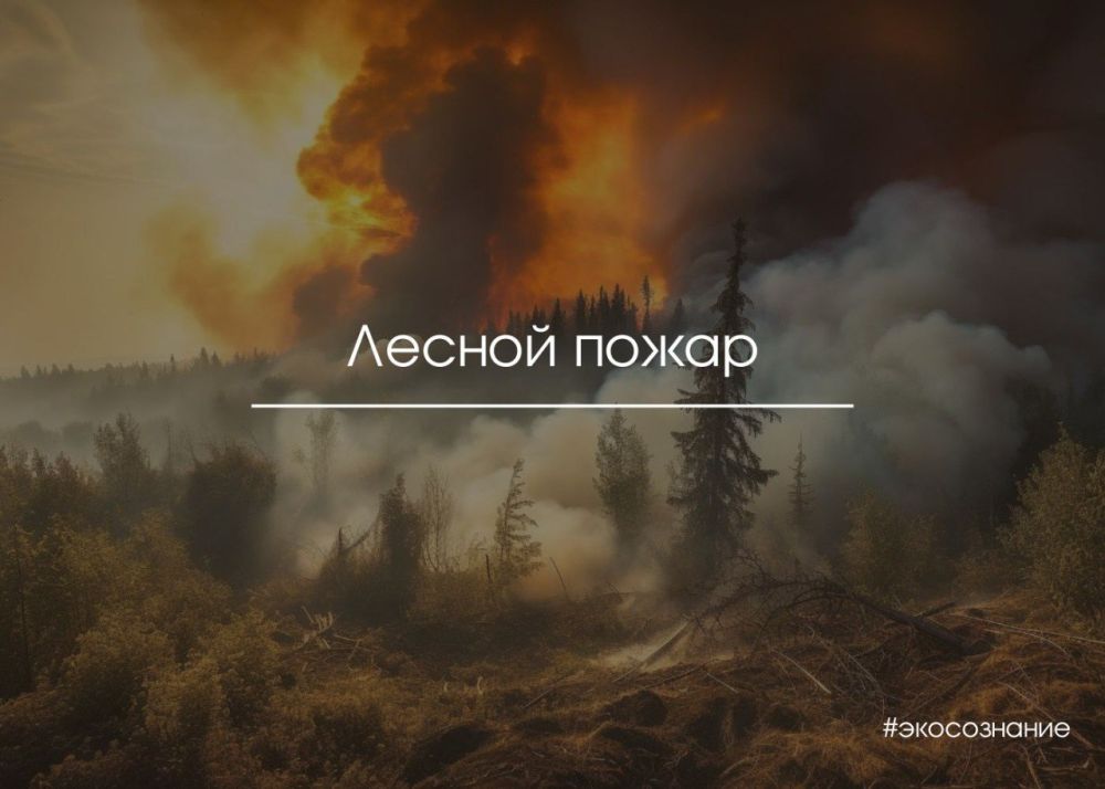 ����������� ������� ������ �������