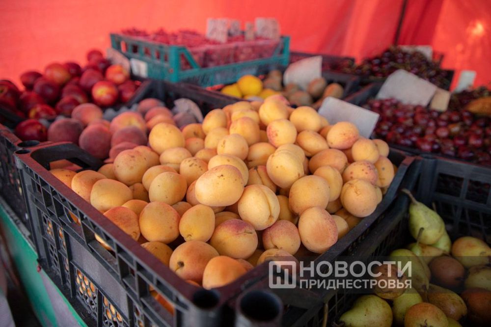 ������ ������� ������� � ��� �������, 22 ����, �� ������������� �� ��. ������ � ���������