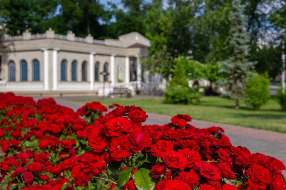 ������������ ������� � ����� � ��� ���������� ���������� �����