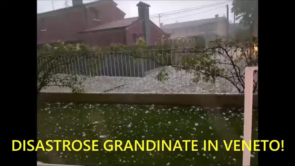 �������� ���� ����� �� ������ ������