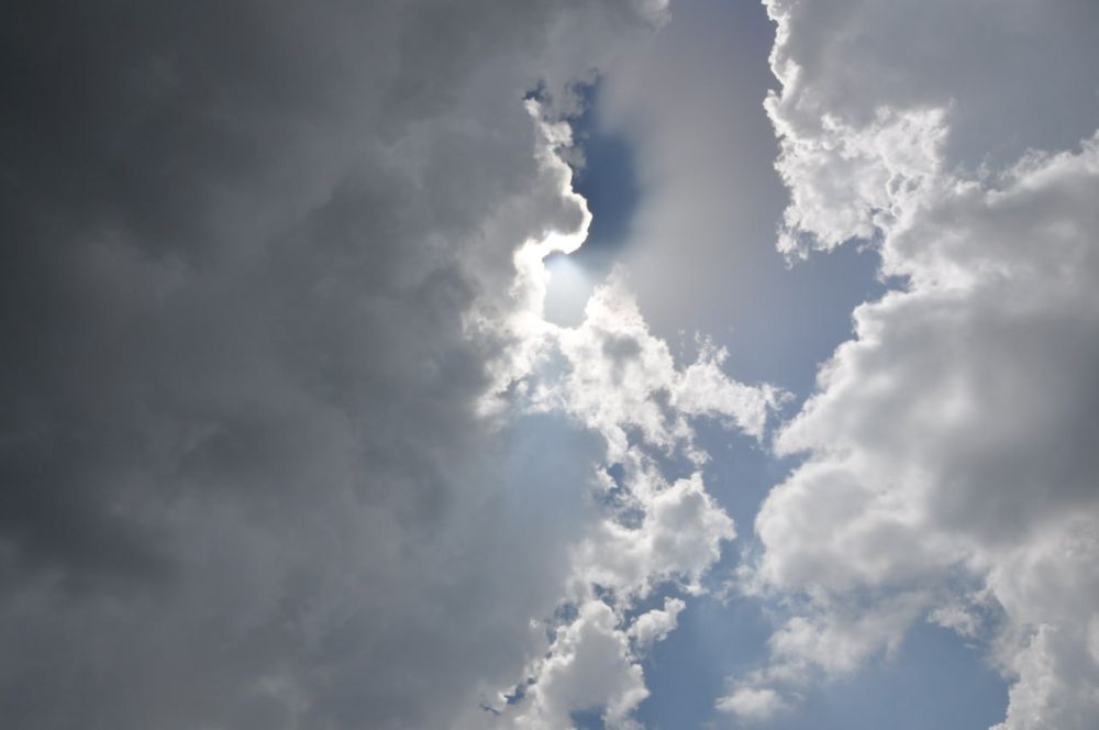 ������� ������. �������, 21 ����, ��������� ���������� ����������, ��� �������