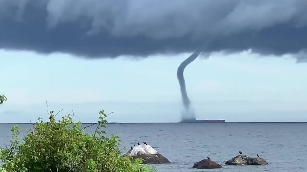 ����� � ������� ������