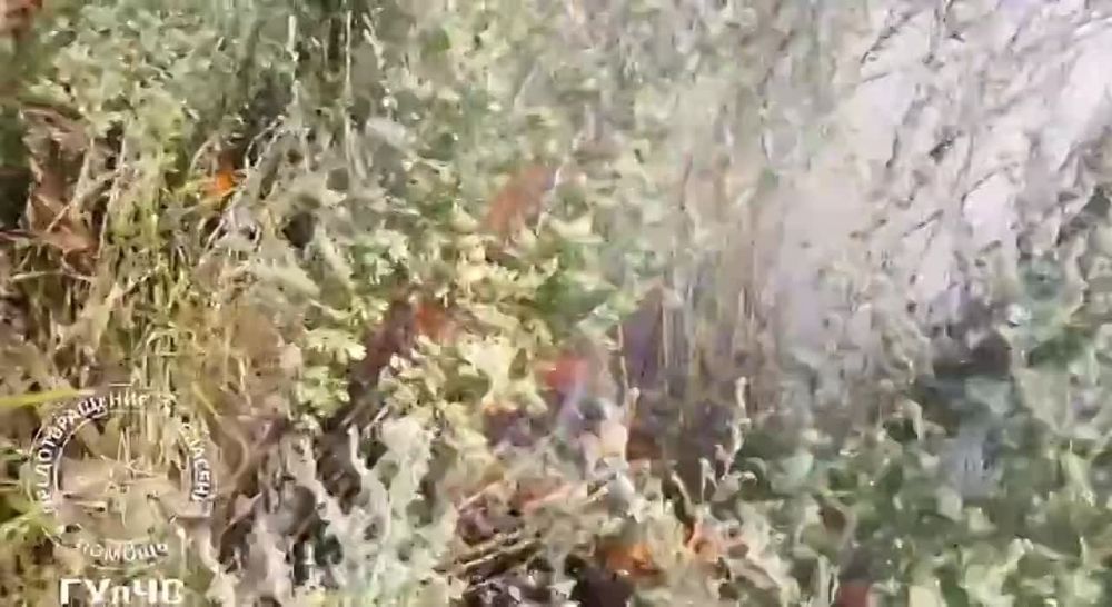 ������� � ���������� ����� �� ������ �� ��������� ���-�� �������� �������