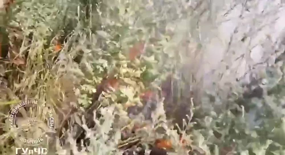 ��� ��� ����� ����� ����� �� ������������ ��������